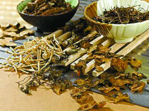 Read more about the article <strong>以创新为驱动，推动中医药工业智能化</strong>