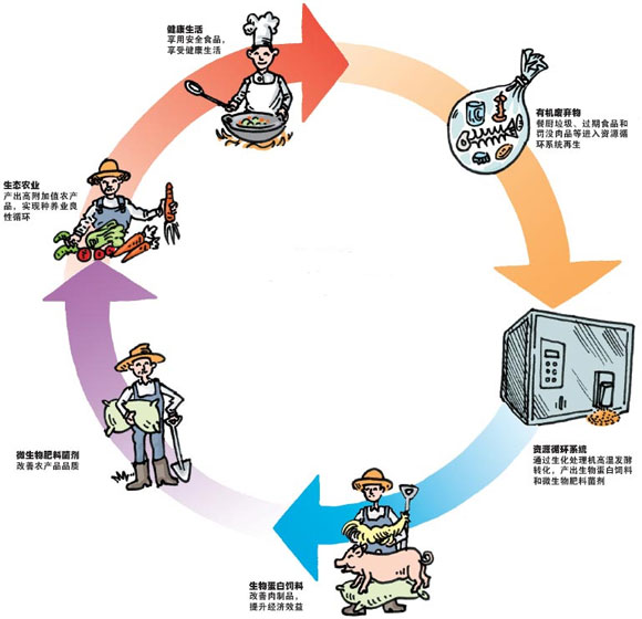 Read more about the article 从传统到智能的腾飞：餐厨垃圾一体化处置系统