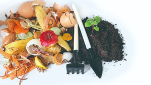 Read more about the article 智能化餐厨垃圾处理系统，生物防治新思路