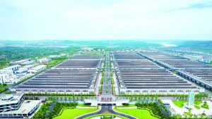 Read more about the article 泸州市产业生态链迎变动