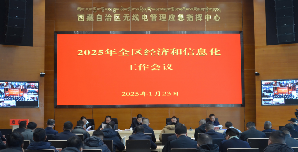 2025年全区经济和信息化工作会议