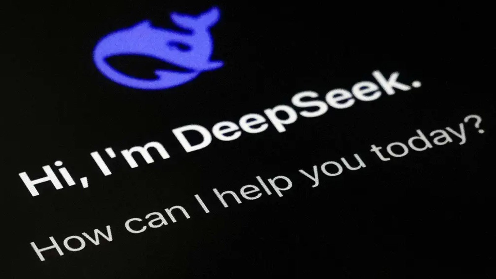 DeepSeek