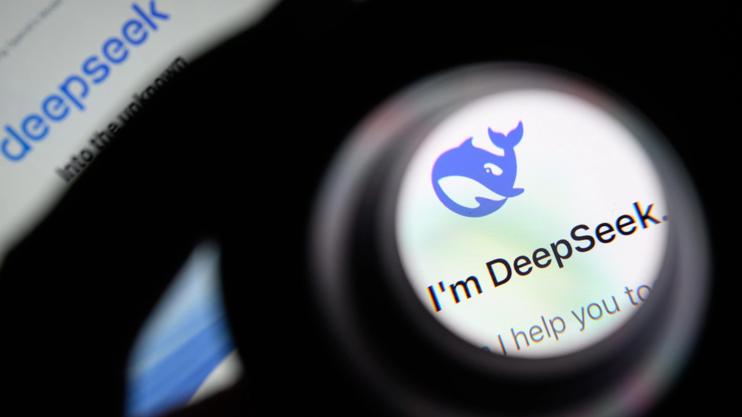 DeepSeek