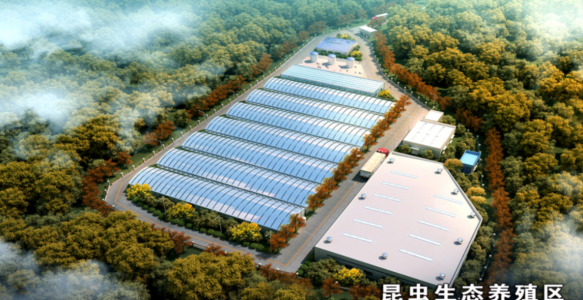 成都餐厨垃圾智能管理平台解析