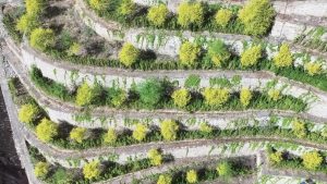 Read more about the article 攀枝花绿色矿山建设的智慧管理方案