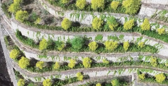 攀枝花绿色矿山建设的智慧管理方案