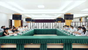 Read more about the article 成渝地区双城经济圈先进制造业与数字经济专项工作组2025年第一次会议在成都召开