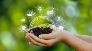 Read more about the article 可再生资源回收利用如何实现高效循环？智能化平台解决方案详解