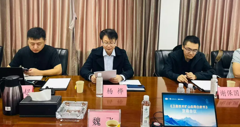 中国建筑材料工业规划研究院院长助理杨桦博士