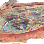 数字化矿山解决方案
